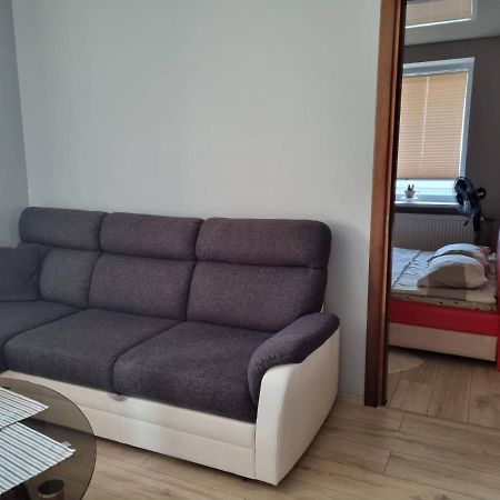 Pas Romana Zarasai Bagian luar foto